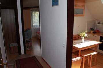 Apartament Bohinjska Bistrica 1